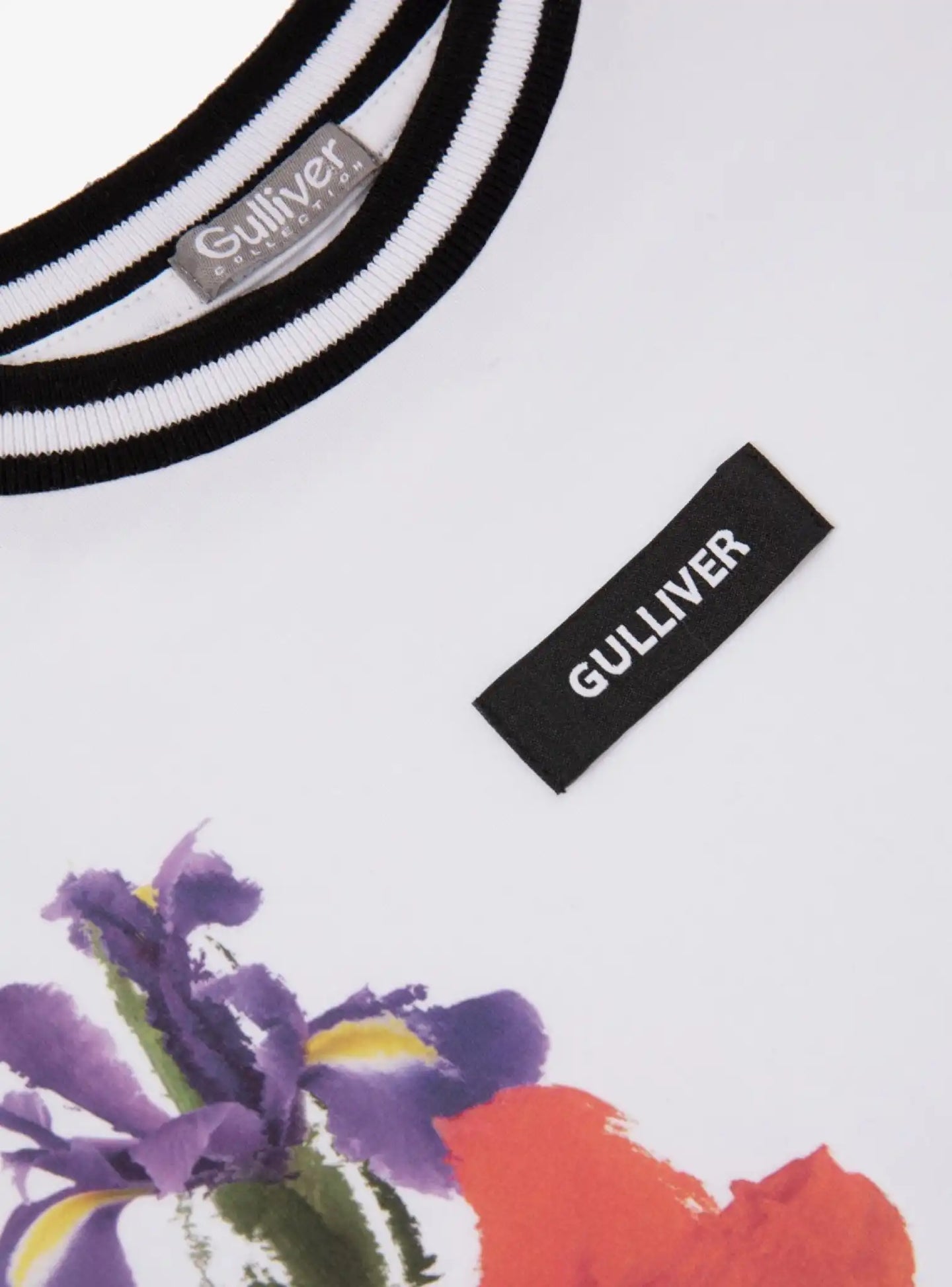 Tricou cu imprimeu fantezist colorat, Gulliver