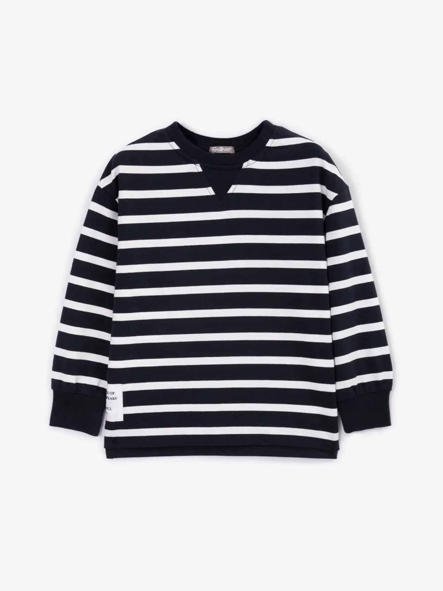 Longsleeve cu dungi, Gulliver