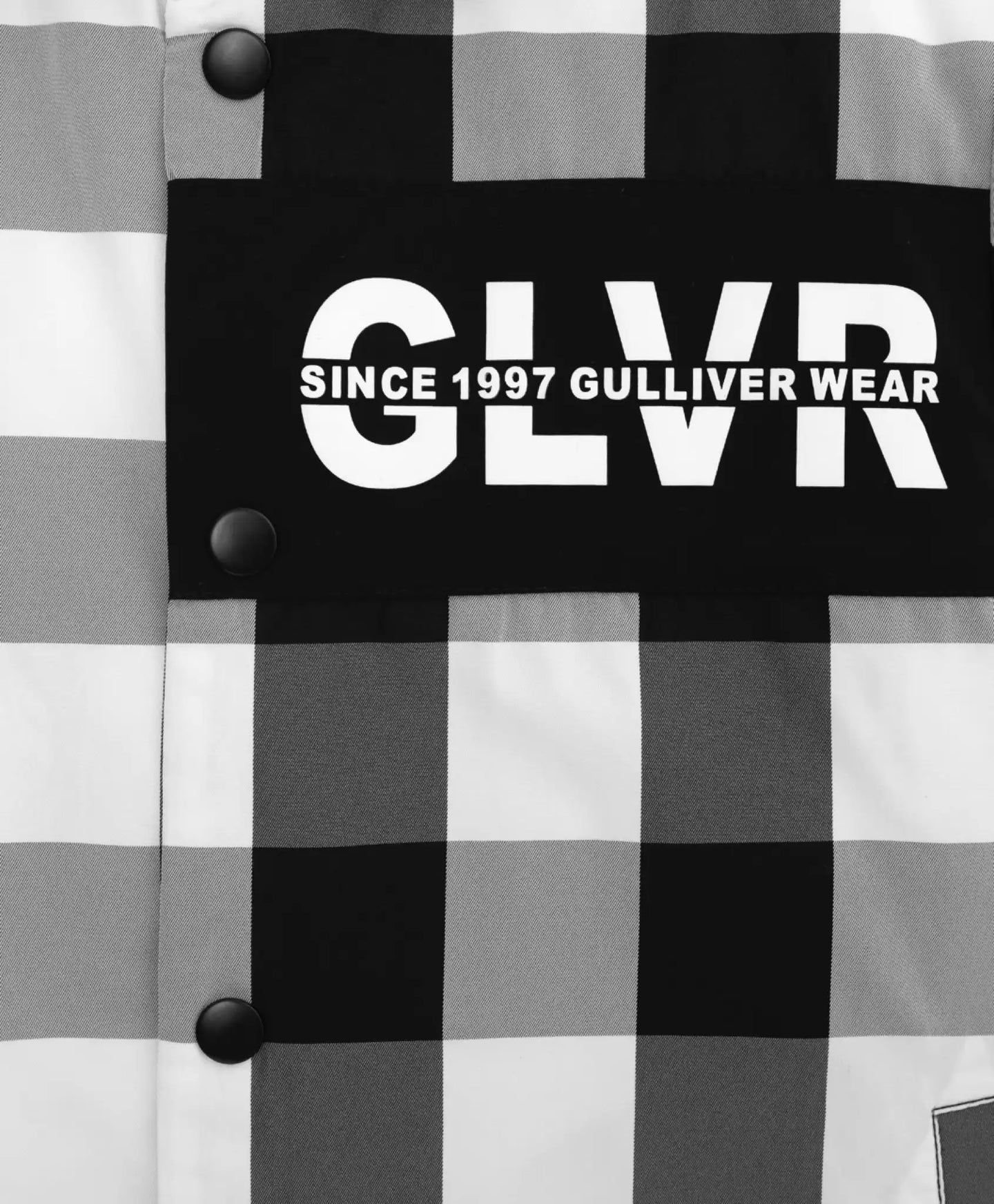 Geacă neagră, Gulliver