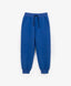 Joggeri tricot, albaștri, pentru băiat, Gulliver