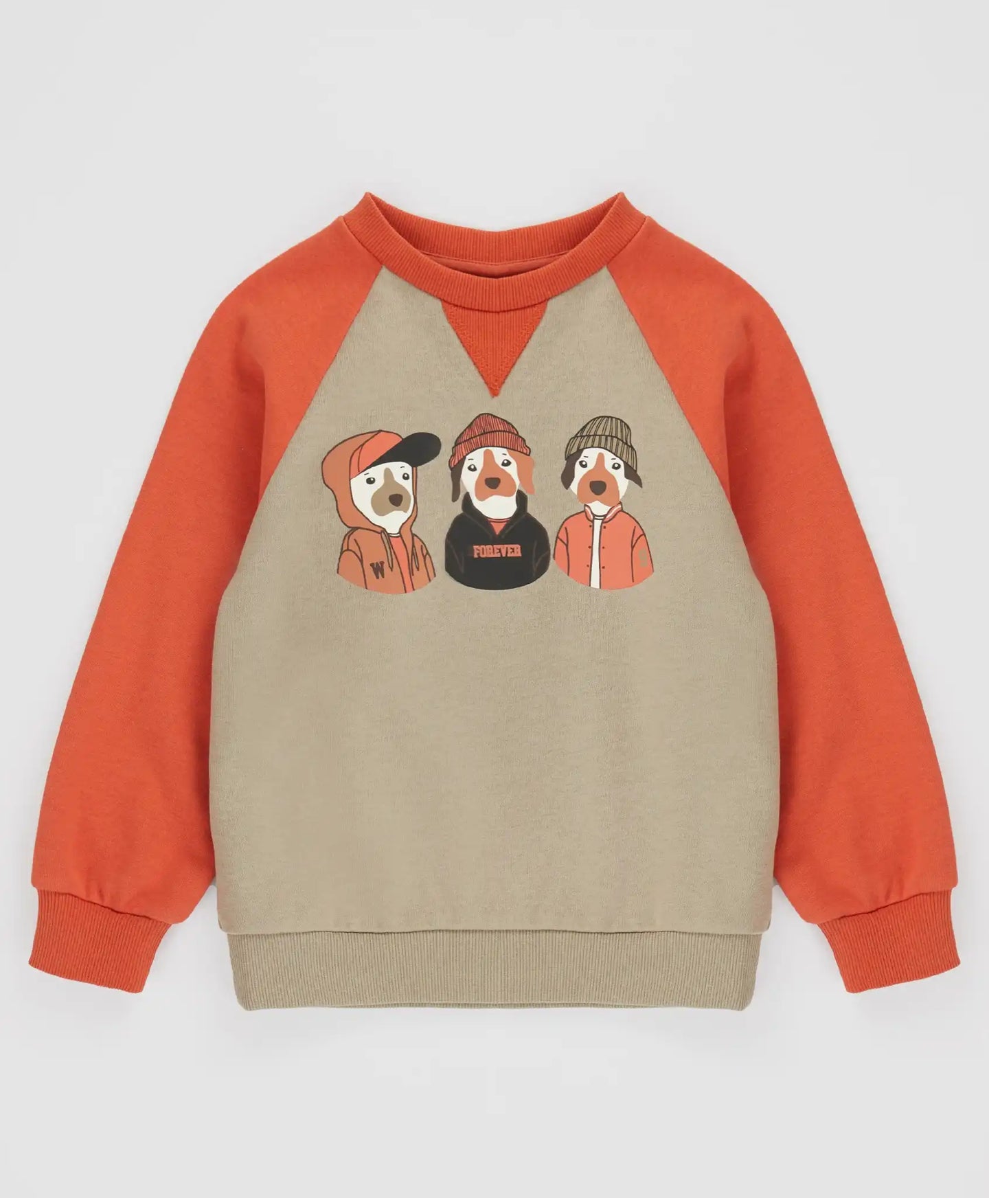 Hanorac cu căței portocaliu pentru băieți Button Blue