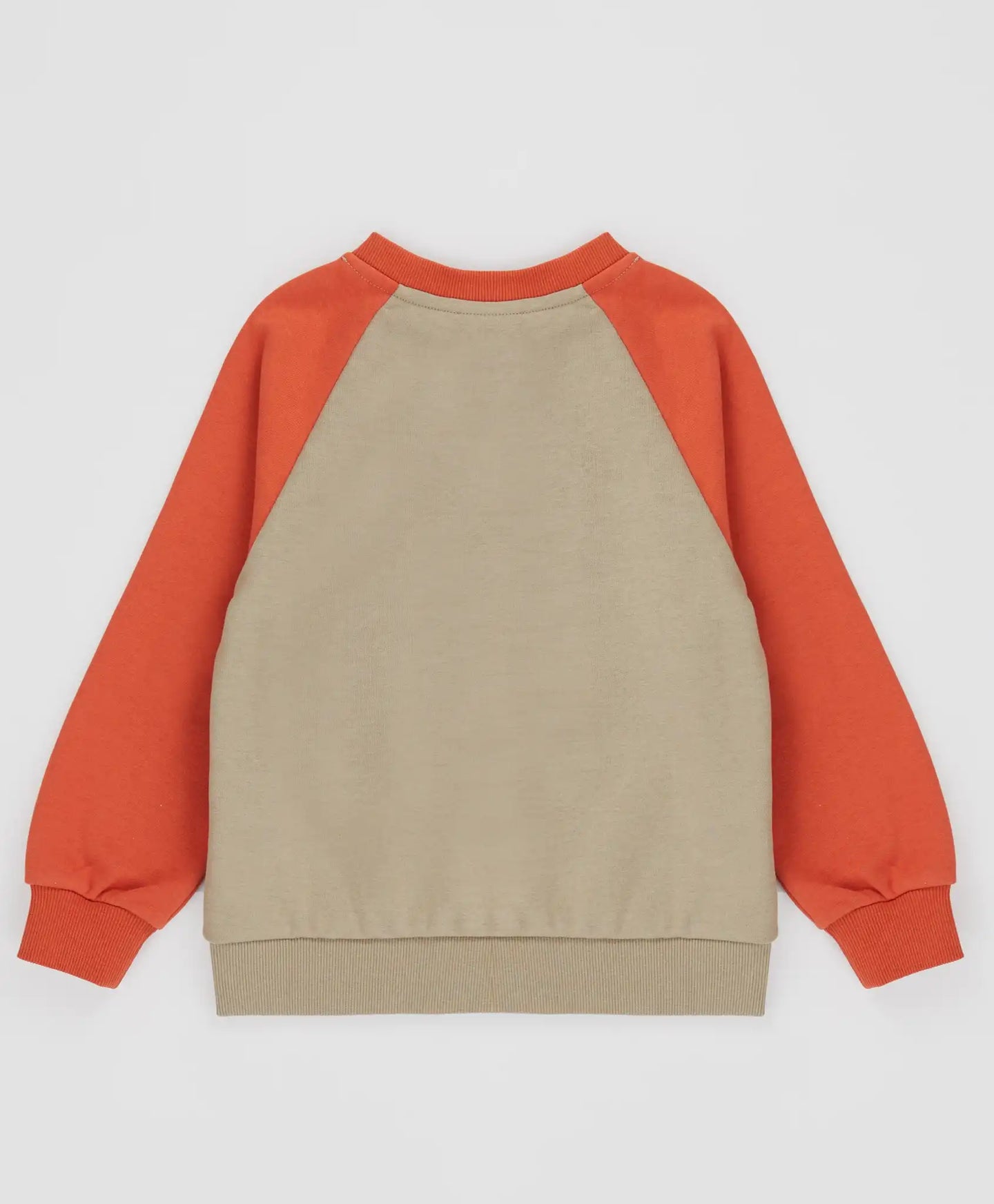 Hanorac cu căței portocaliu pentru băieți Button Blue