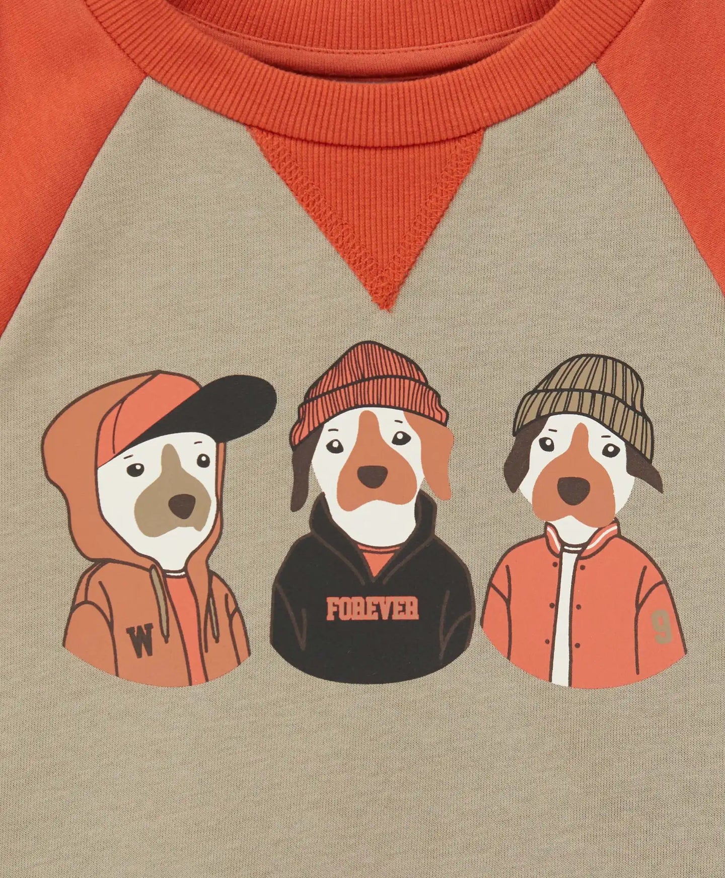 Hanorac cu căței portocaliu pentru băieți Button Blue