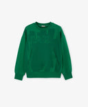 Hanorac pentru băieți cu imprimeu verde Gulliver