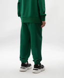 Pantaloni jogger pentru băiat, din tricot, verzi, Gulliver