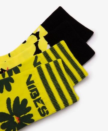 Șosete cu desen, Gulliver