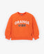 Hanorac din material fleece cu imprimeu și aplicații portocaliu pentru băieți Gulliver