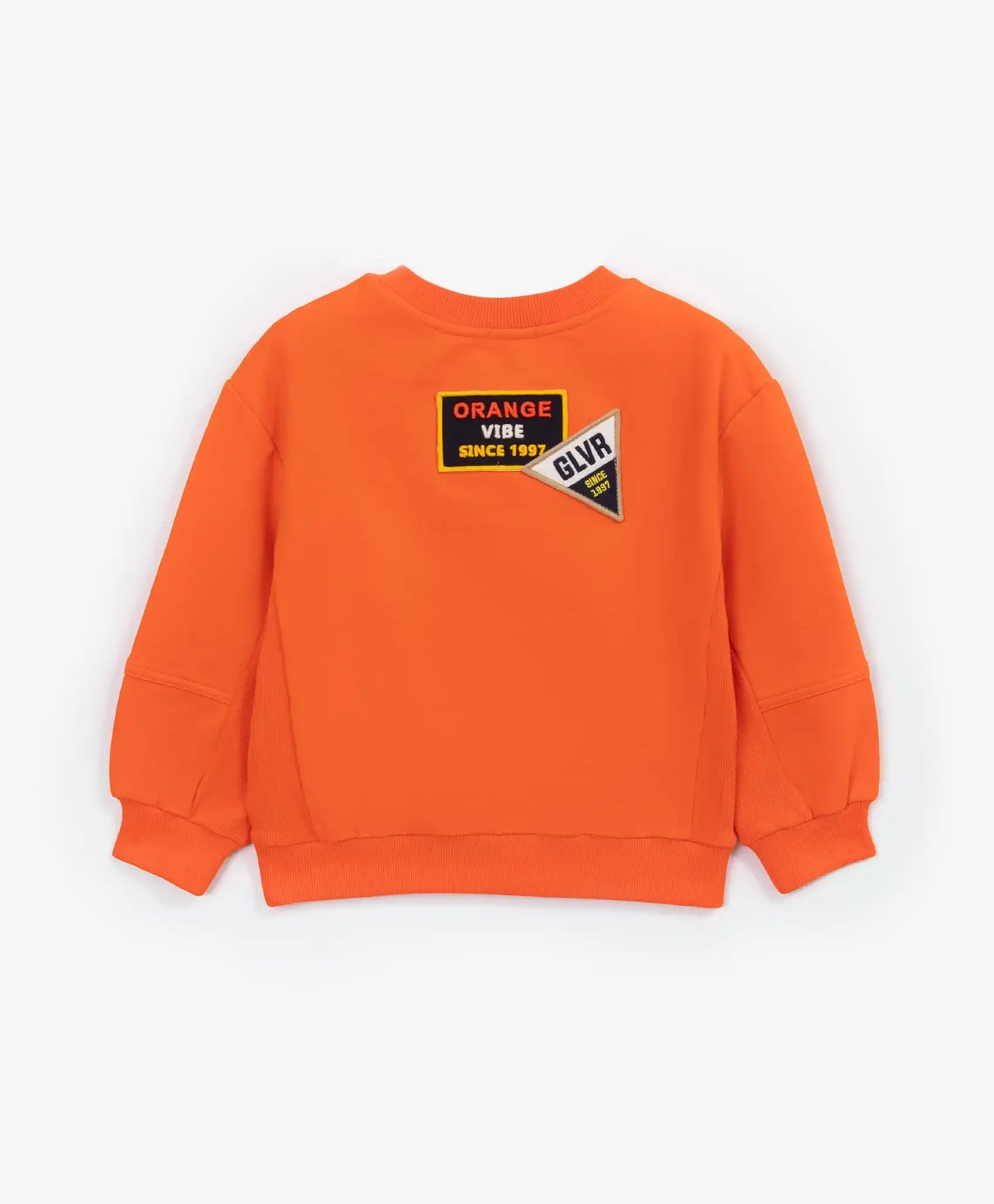 Hanorac din material fleece cu imprimeu și aplicații portocaliu pentru băieți Gulliver